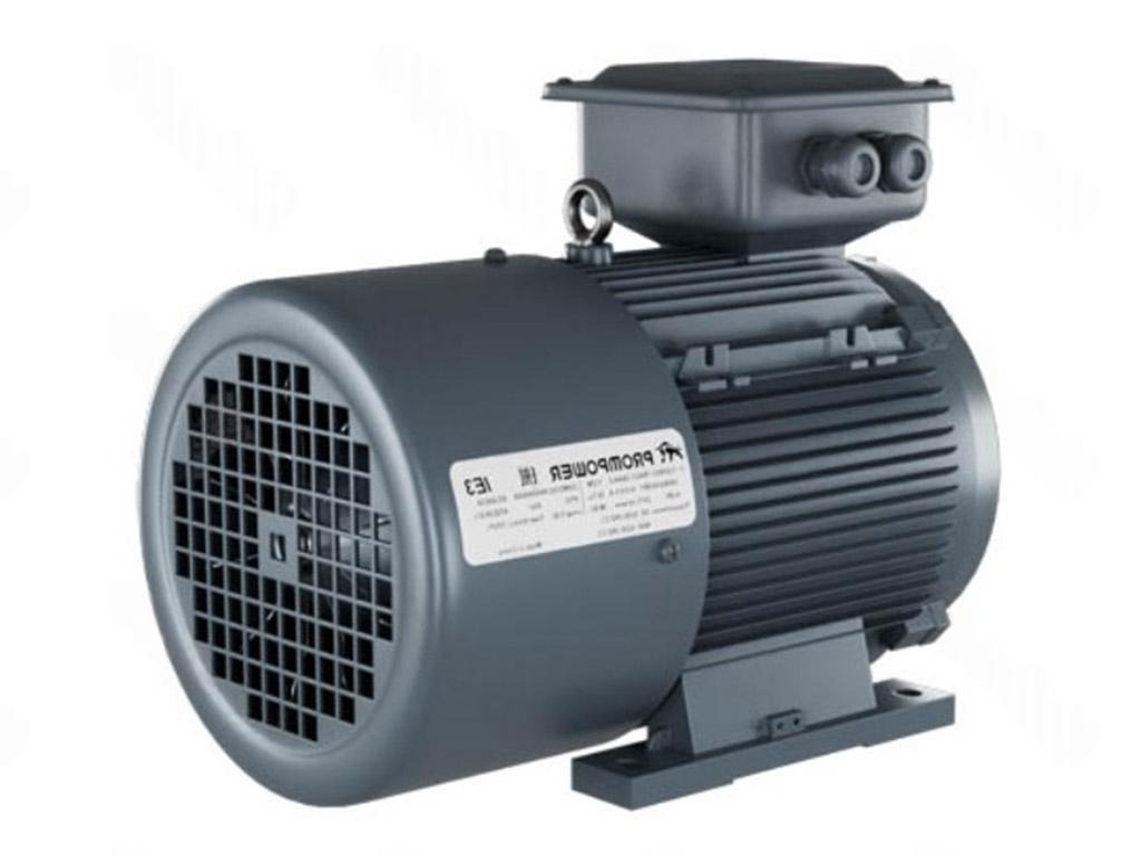Электродвигатель 1LE9303-0DA32-1AA4 PROMPOWER